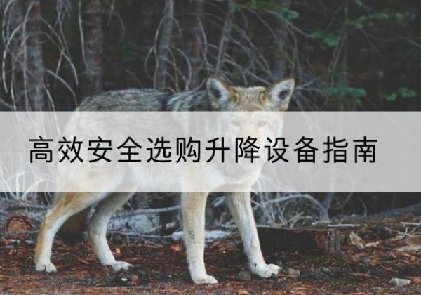灵宝升降货梯厂家推荐-*安全选购升降设备指南