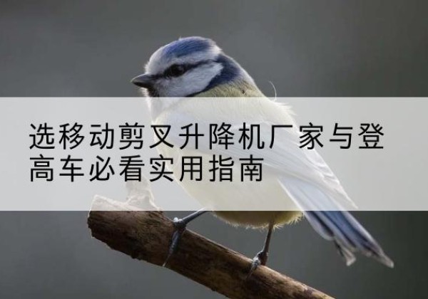 灵宝电动升降机厂家-选移动剪叉升降机厂家与登高车必看实用指南